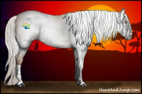 Horse Color:Gray Silver Amber Champagne 