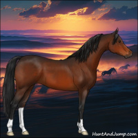 Horse Color:Gray Brown 