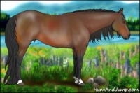Horse Color:Brown 