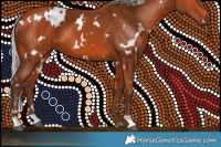 Horse Color:White Spotted Silver Bay 