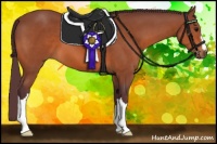 Horse Color:Chocolate Bay 