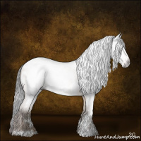 Horse Color:Gray Sable Champagne Roan Dun Near Leopard Rabicano Brindle 