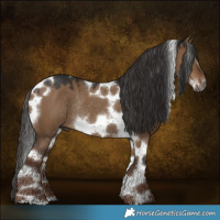Horse Color:Gray Liver Red Dun Tobiano Frame Rabicano