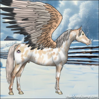 Horse Color:White Spotted Silver Sable Champagne Dun Sabino Near Leopard 