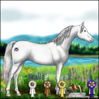 Horse Color:Gray White Spotted Silver Sable Champagne Dun Tobiano