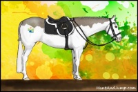 Horse Color:Silver Grullo Splash