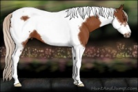 Horse Color:Silver Buckskin Tobiano Frame 