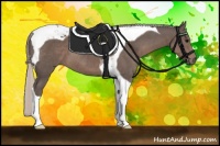 Horse Color:Silver Black Tobiano