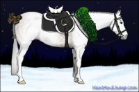 Horse Color:Gray Classic Champagne Sabino 