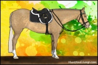 Horse Color:Silver Classic Cream Champagne 