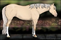 Horse Color:Silver Amber Champagne Dun