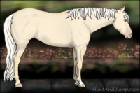 Horse Color:Silver Amber Cream Champagne Dun 