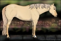 Horse Color:Palomino Dun 