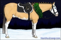 Horse Color:Buckskin Roan Splash 