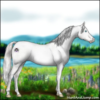 Horse Color:Gray Platinum White Spotted Silver Sable Cream Champagne Pearl Dun Tobiano 