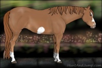 Horse Color:Chestnut Splash Frame 