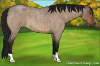 Horse Color:Gray Brown Roan Dun 