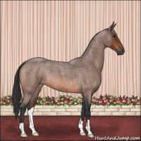 Horse Color:Bay Roan 