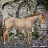Horse Color:Red Roan 