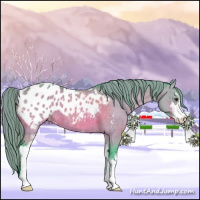 Horse Color:Watercolor Buckskin Dun Sabino Blanket Brindle