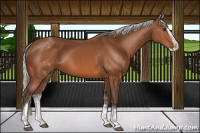 Horse Color:White Spotted Silver Bay Splash 