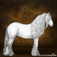 Horse Color:Gray Brown Roan Dun Sabino Appaloosa Rabicano Brindle 