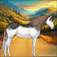 Horse Color:Liver Chestnut Splash Rabicano 