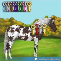 Horse Color:White Spotted Silver Brown