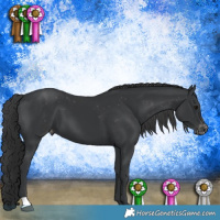 Horse Color:Black Appaloosa