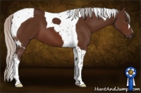 Horse Color:Silver Brown Tobiano 