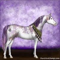 Horse Color:Painted Nacre White Spotted Buckskin Ice Onyx Splash 