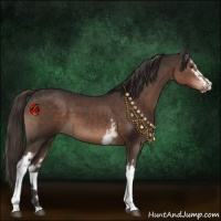 Horse Color:White Spotted Liver Chestnut Sabino 