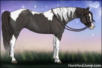 Horse Color:Liver Red Roan Splash Tobiano 
