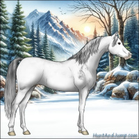 Horse Color:Black Sabino Splash 