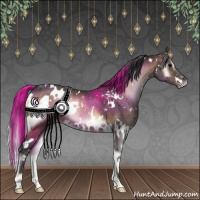 Horse Color:White Spotted Bay Onyx 