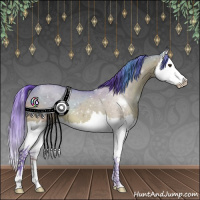 Horse Color:Watercolor Buckskin Dun Sabino Splash