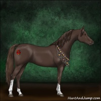 Horse Color:Liver Chestnut Tobiano 