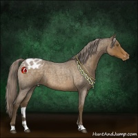 Horse Color:Chocolate Palomino Roan Varnish 