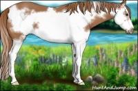 Horse Color:Chestnut Splash Frame