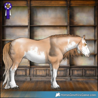 Horse Color:White Spotted Bay Pearl 