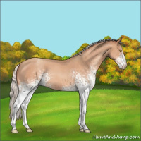 Horse Color:White Spotted Silver Sable Champagne Roan Varnish 