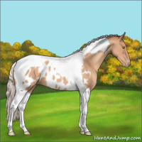 Horse Color:Silver Classic Champagne Tobiano Near Leopard 