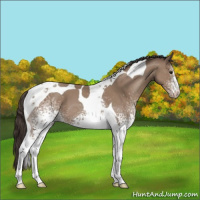 Horse Color:White Spotted Classic Champagne Tobiano 
