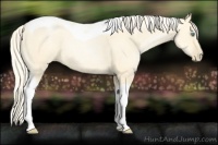 Horse Color:Palomino Pearl Dun Tobiano 