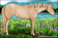 Horse Color:Chestnut Pearl 