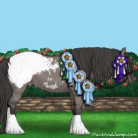 Horse Color:Grullo Appaloosa