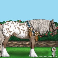 Horse Color:Silver Grullo Appaloosa 