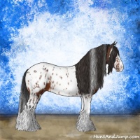 Horse Color:Bay Splash Tobiano Appaloosa and Bay Splash Tobiano Appaloosa