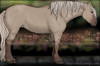 Horse Color:Silver Grullo 