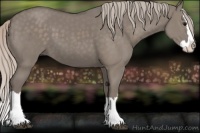 Horse Color:Silver Grullo Sabino Splash 